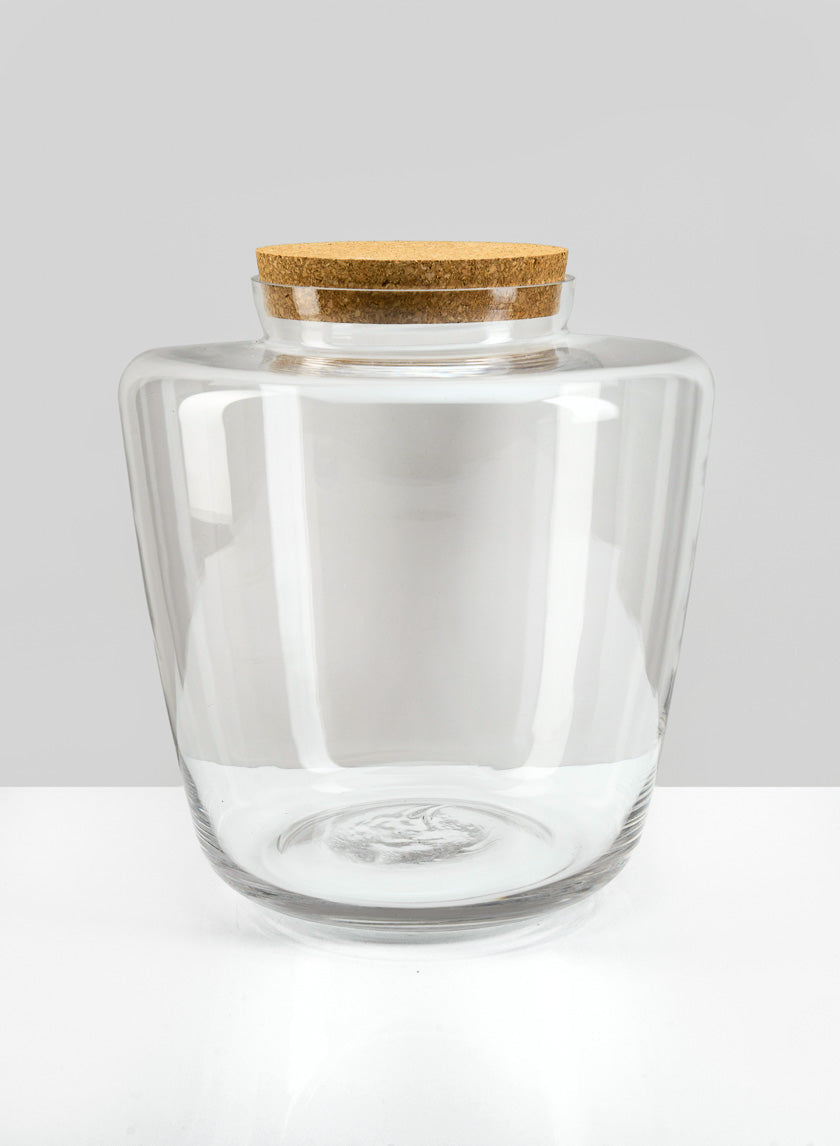 11in Tall Pantanal Glass Terrarium with Cork, Large