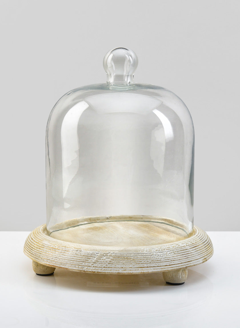9.25in Tall La Boheme Glass Cloche with Wood Base