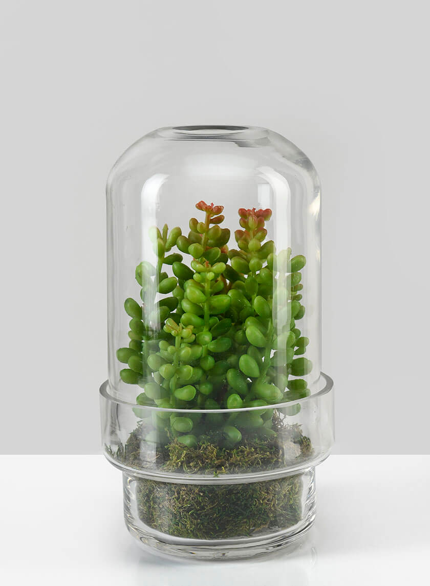 6.25in Tall Swazi Glass Terrarium, Small