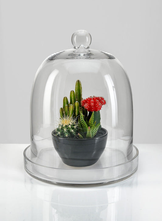 13.5in Tall Batiste Glass Cloche & Base