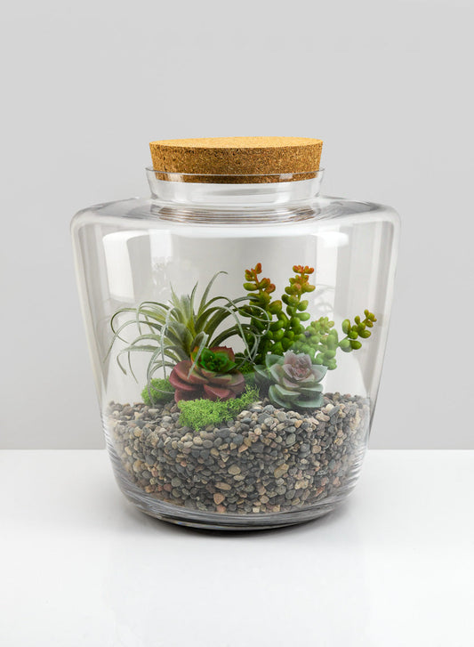 11in Tall Pantanal Glass Terrarium with Cork, Large
