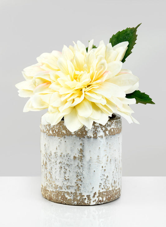 5.5in Tall Antique White Jardin Pot