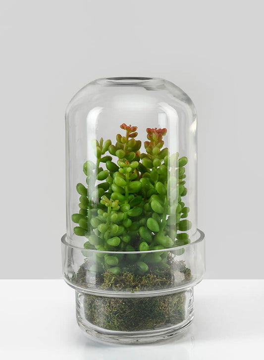 6.25in Tall Swazi Glass Terrarium, Small